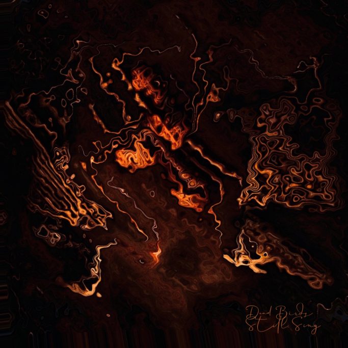 Dead Bird Still Sing XMAKARIX