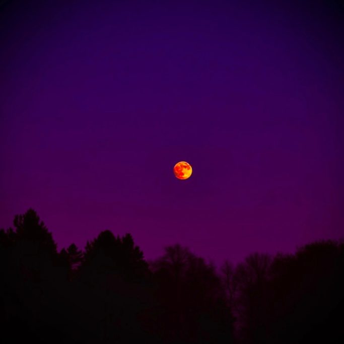 The Damned Under the Moonfall (Exclusive) XMAKARIX